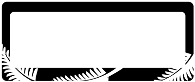 NZ Silver Fern